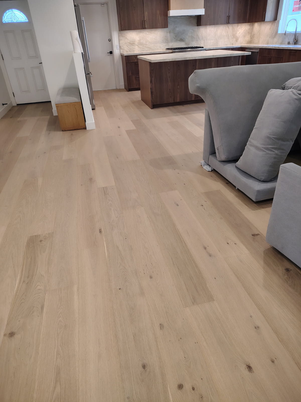 open concept kitchen and living area with freshly cleaned hardwood floors